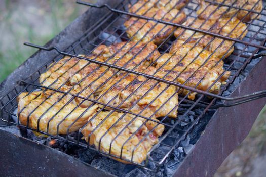 fry chicken skewers on the grill. Picnic in nature. selective focus