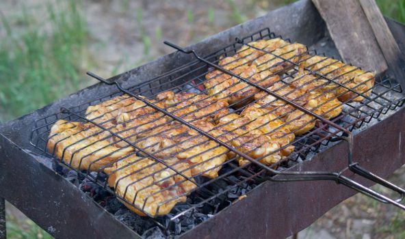 fry chicken skewers on the grill. Picnic in nature. selective focus