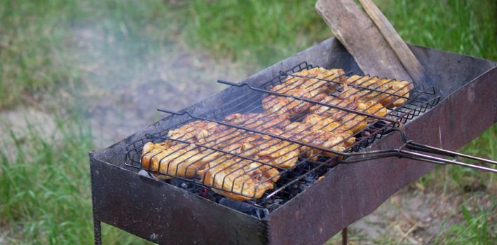 fry chicken skewers on the grill. Picnic in nature. selective focus