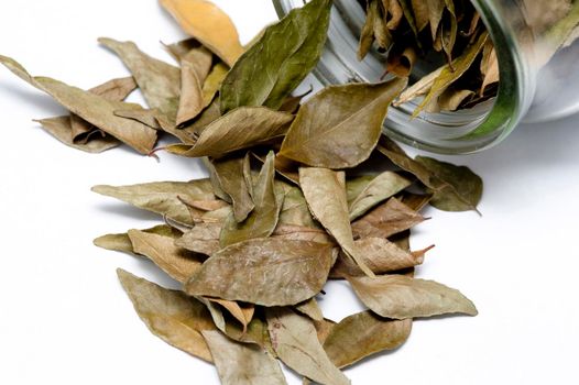 Dried bay leaves, a pungent seasoning in cookery with medicinal properties, spilling out of a glass container