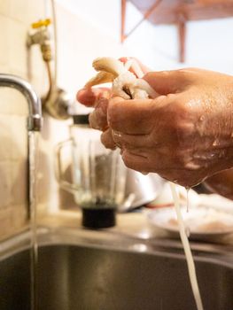 cleaning a raw adriatic cuttlefish at home in Numana, Marche, Italy