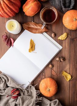 Hello fall. Cozy warm image. Cozy autumn composition, sweater weather. Pumpkins, hot black tea , sweaters and opened blank book with leaves