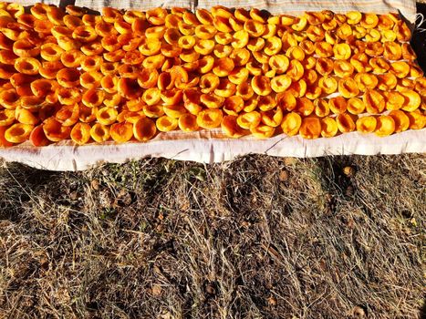 Juicy yellow-orange apricot slices lie in the sun close-up.