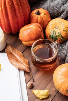 Hello fall. Cozy warm image. Cozy autumn composition, sweater weather. Pumpkins, hot black tea , sweaters and opened blank book with leaves