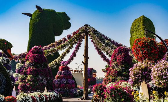 Dubai, UAE - 03.06.2020 Flower and landscaping installations in Dubai miracle garden.