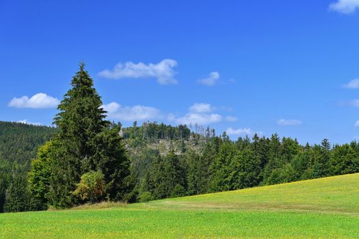 Beautiful summer landscape with nature. Meadow with forest and blue sky on a sunny day. Highlands - Czech Republic.