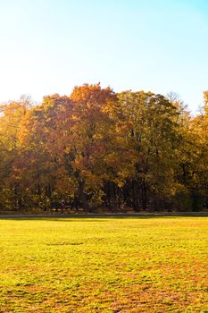 Fall beauty, weather and seasons concept - Autumn nature scene background, leaves and trees outdoors