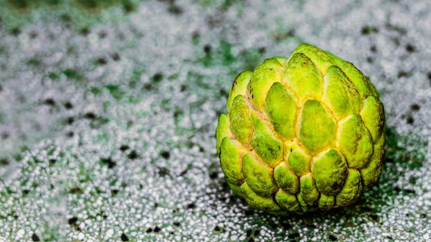 Real photo Ripened close macro sugar custard apple annona exotic tropical fruit. Oval scaly skin texture surface rough. Bright yellow green contrast color. Beauty nature wallpaper background.