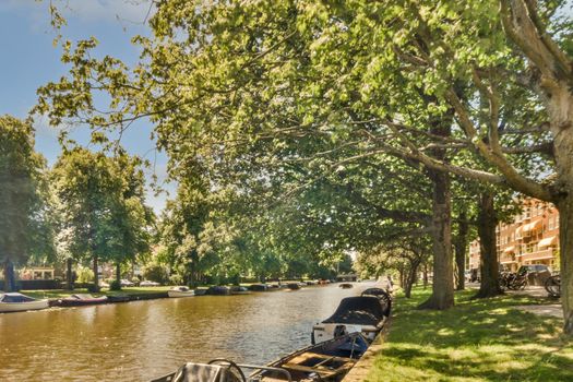 View of street near building with beauty of vegetation and river