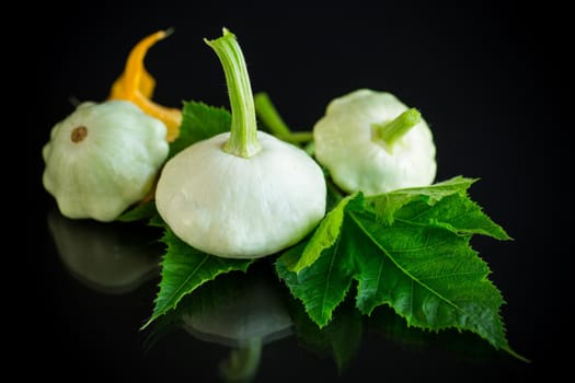 fresh organic squash with flowers and foliage isolated on black background
