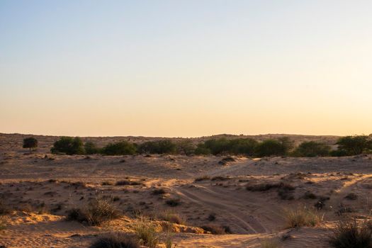 Landscape shot of a desert in afternoon.