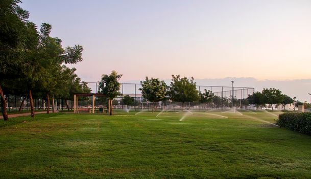 Early morning hour at the park.