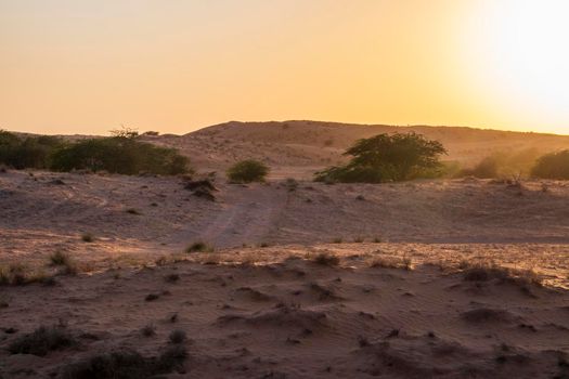 Landscape shot of a desert in afternoon.