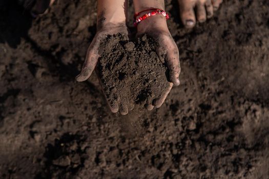 The child holds soil in the garden. Selective focus. kid.