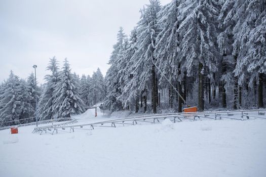 winter forest snow-covered spruce branches hang down under the weight of snow. High quality photo