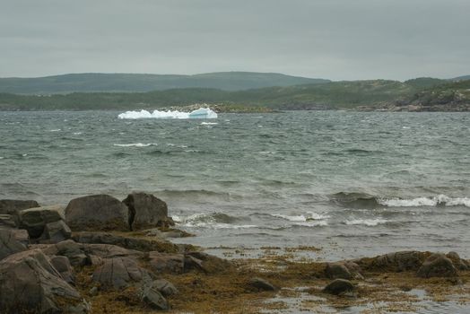 Ice Burg floats into St. Anthony's Harbor Newfoundland