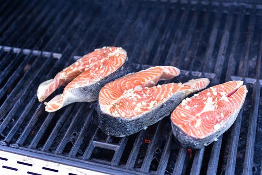 Grilling salmon steaks on an outdoor gas grill.