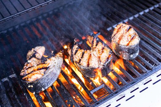 Grilling salmon steaks on an outdoor gas grill.