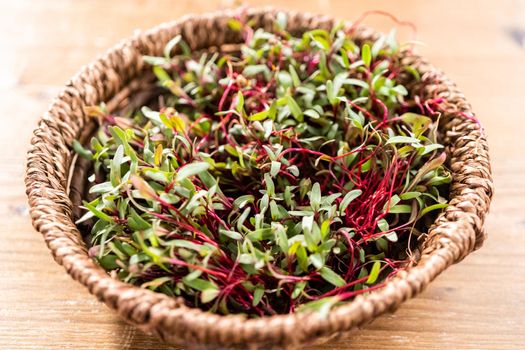 Radish microgreens with purple stems and green leaves in the basket.