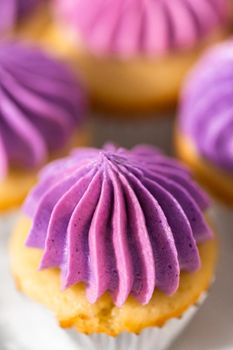 Freshly baked mini vanilla cupcakes with ombre pink buttercream frosting on a white cake stand.