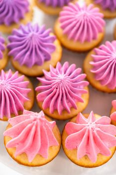 Freshly baked mini vanilla cupcakes with ombre pink buttercream frosting on a white cake stand.