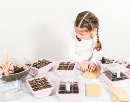 Little girl planting seeds into an indoor seed starter tray during her homeschooling.