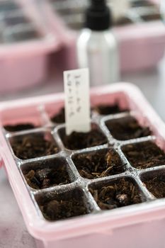 Planting seeds into seed starter tray for an indoor garden.