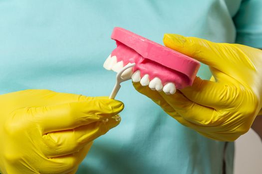 Close-up view of dentist's hands with a human jaw layout and a floss toothpick.