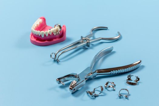 Layout of a human jaw with, the rubber dam forcep, the clamps and the dental hole punch on the blue background. Medical tools concept.