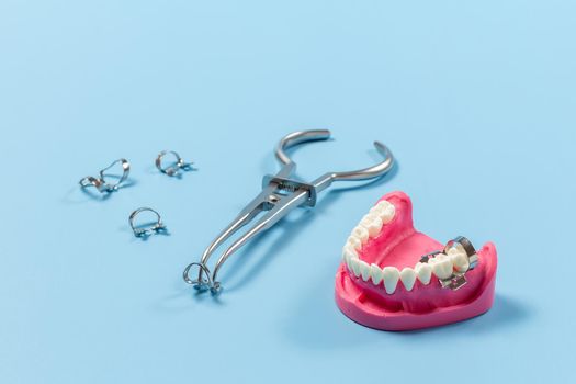 Layout of a human jaw with the rubber dam forceps and the clamps on the blue background. Medical tools concept.