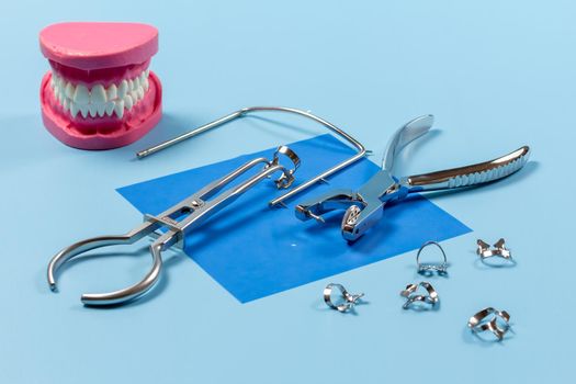 Layout of a human jaw, the dental hole punch, the clamps, the metal frame and the rubber dam forceps on the blue background. Medical tools concept.