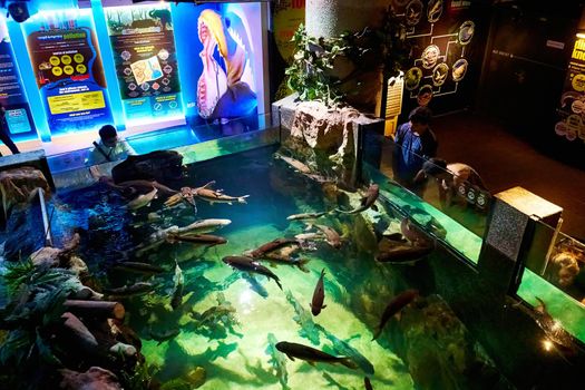 Interior of sea world oceanarium in KL. Glass aquarium with fish. Kuala Lumpur, Malaysia - 04.01.2020