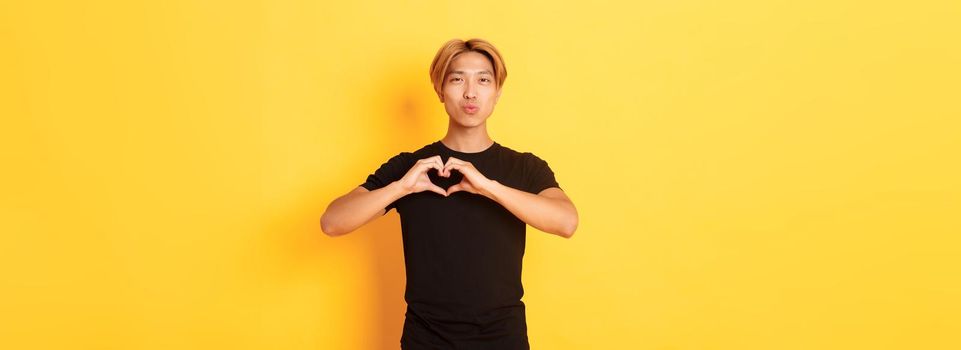 Portrait of lovely handsome blond asian man, showing heart gesture and smiling, standing yellow background.