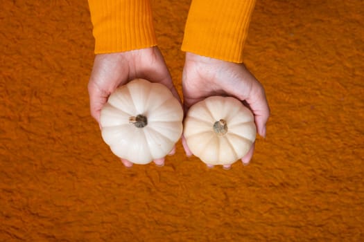Two small decorative pumpkins in a woman's hands in a sweater top view on an orange background.