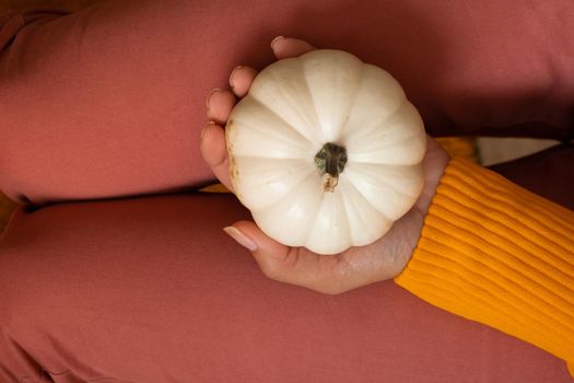 Decorative pumpkin in a woman's hand in a sweater top view on an colored background top view.