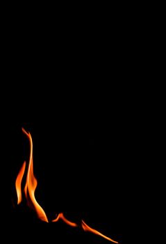 Fire flame isolated on black background. Space for copy, text, your words