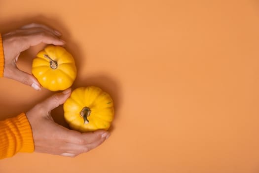 A small decorative pumpkins in a woman's hand in a sweater top view on an orange background. Copy space.