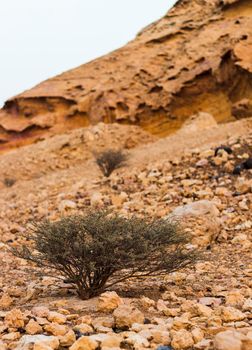 93 million years old rocks formations known as Jebels in Buhais area of Sharjah emirate,