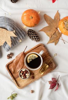 Hello fall. Cozy warm image. Cozy autumn composition, sweater weather. Hot tea with lemon and nuts on wooden tray surrounded with autumn leaves and sweaters, flat lay