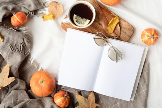 Back to school. Cozy autumn. Study and education concept. white blank book with autumn leaves and cup of hot tea on table ,book mockup design