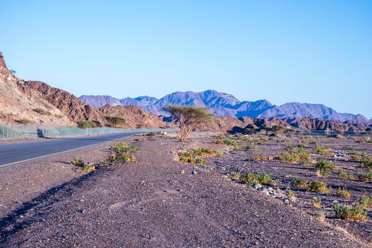Mountainous road in emirate of Sharjah, UAE. Outdoor