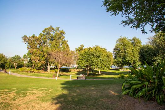 Sunny afternoon in the park.