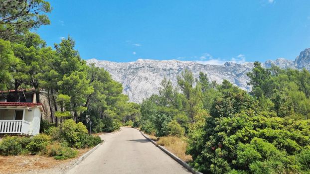 Biokovo Mountain Nature park and trees from Makarska Riviera-Biokovo, Dalmatia, Croatia, Europe