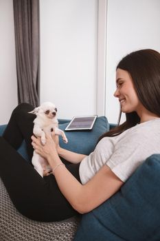 Happy woman laughing, playing with her chihuahua dog on the sofa