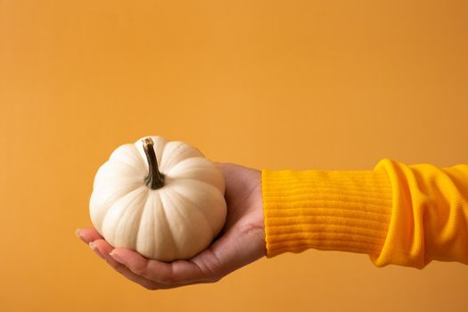 A small decorative white pumpkin in a woman's hand in a sweater on an orange background. High quality photo