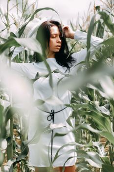 A brunette girl in a white dress in a cornfield. The concept of harvesting.