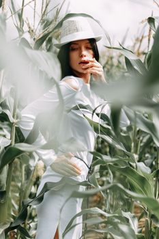 A brunette girl in a white dress in a cornfield. The concept of harvesting.