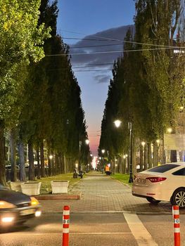 Vertical shot of a city boulevard on sunset