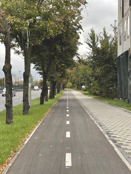 Cycle lane on the sidewalk in the city in autumn