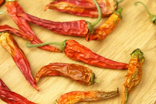 Red dried chilli spice peppers rotate close-up. Selective focus